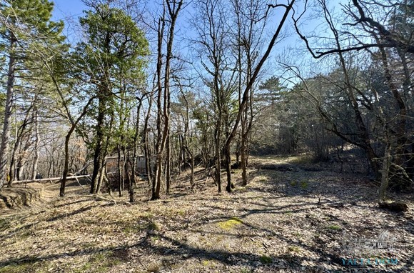 Участок 23 сот. (ИЖС)