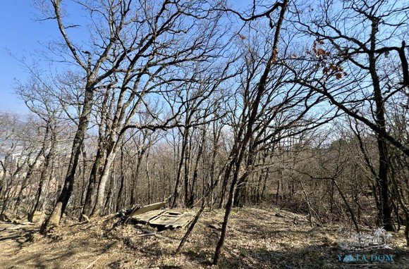 Участок 23 сот. (ИЖС)