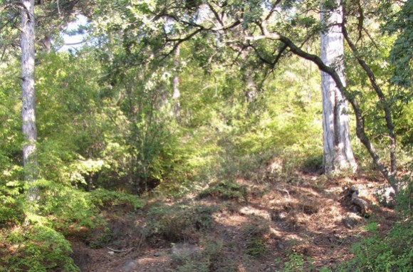 Участок 5 сот (ИЖС)