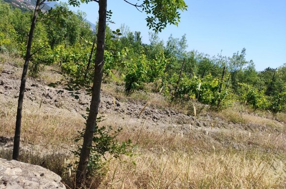 Участок 15 соток ИЖС расположен возле леса и озера в районе Виноградное Ялта