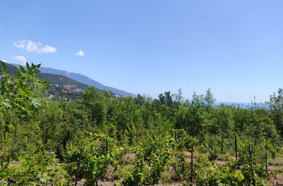 Участок 15 соток ИЖС расположен возле леса и озера в районе Виноградное Ялта