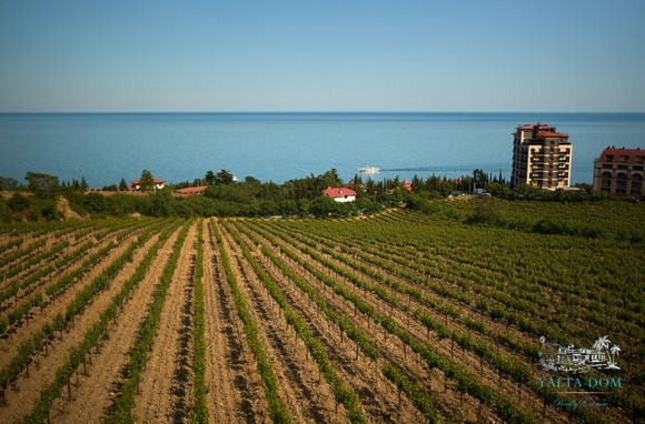 Дом с авторским ремонтом и прекрасным видом на море в Ливадии Ялта